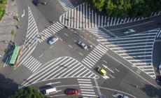 高速青青草网站在线观看